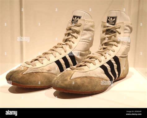 adidas freddie mercury|adidas hercules wrestling boots.